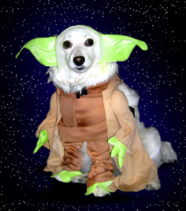 Felice-Yoda-Halloween